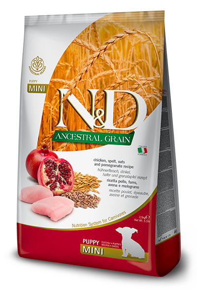 N&D Ancestral Grain Chicken & Pomegranate Puppy Mini